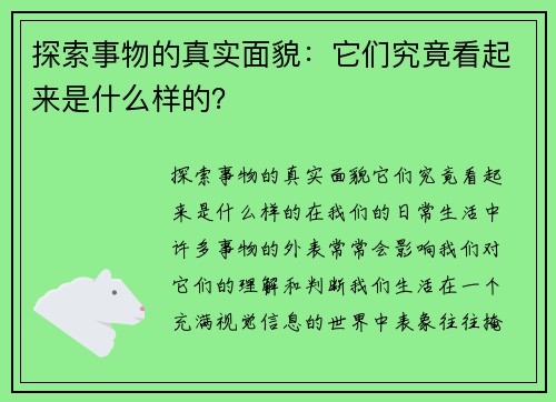 探索事物的真实面貌：它们究竟看起来是什么样的？